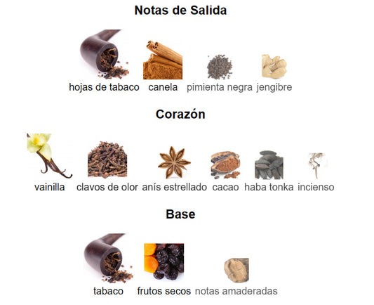 AMBER OUD TOBACCO EDITION EDP 100ML